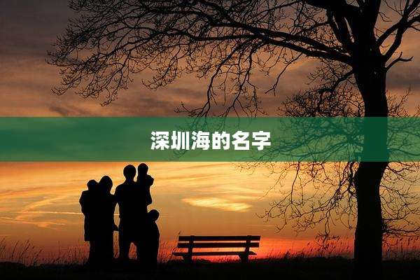 深圳海的名字