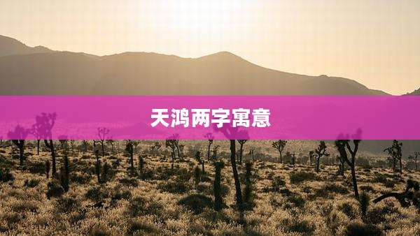 天鸿两字寓意