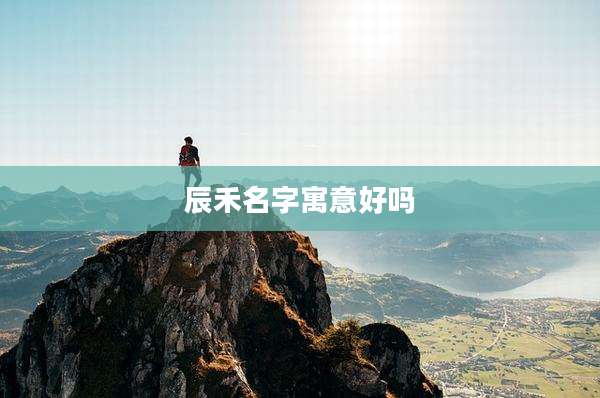 辰禾名字寓意好吗