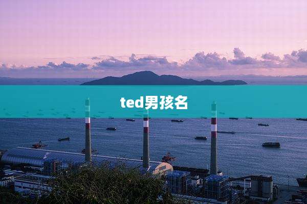 ted男孩名
