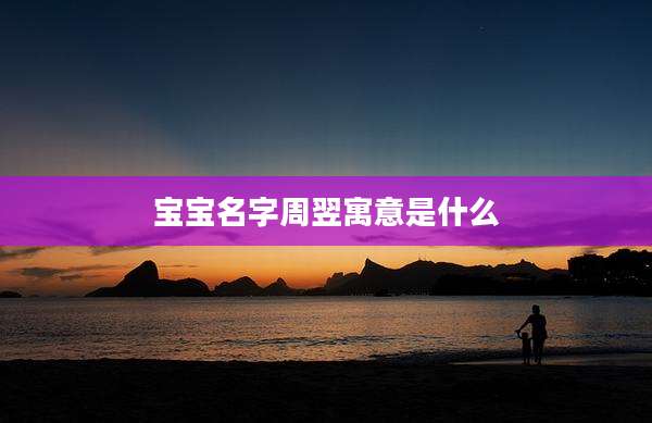 宝宝名字周翌寓意是什么