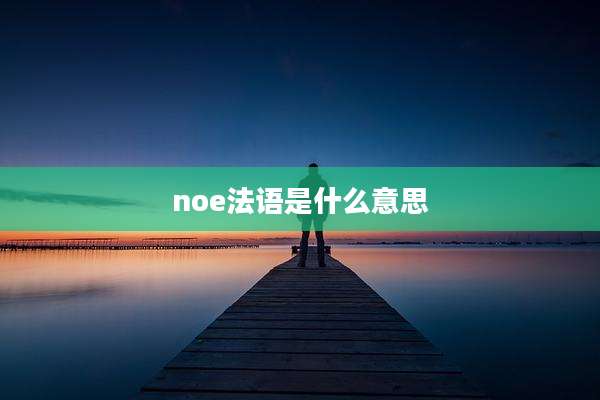 noe法语是什么意思