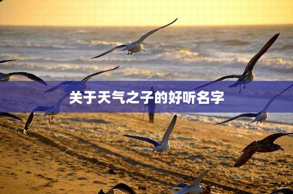 关于天气之子的好听名字
