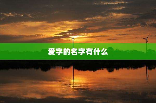 爱字的名字有什么