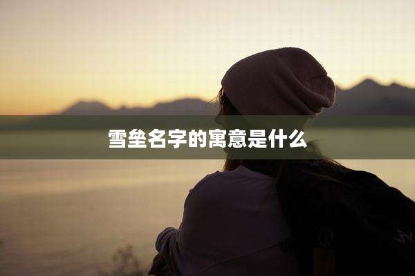 雪垒名字的寓意是什么