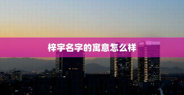 梓宇名字的寓意怎么样