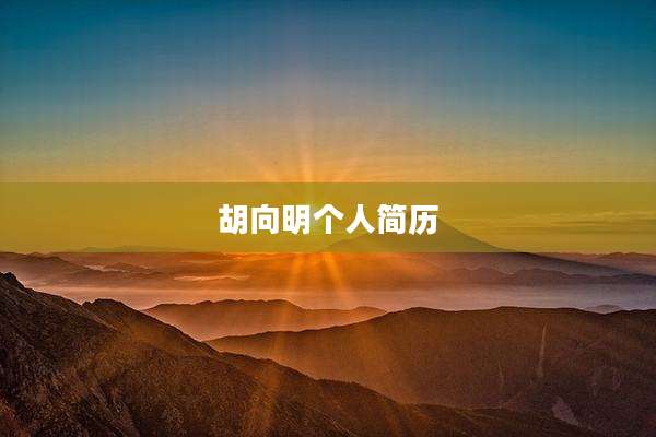 胡向明个人简历