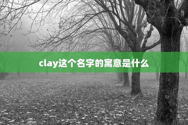 clay这个名字的寓意是什么