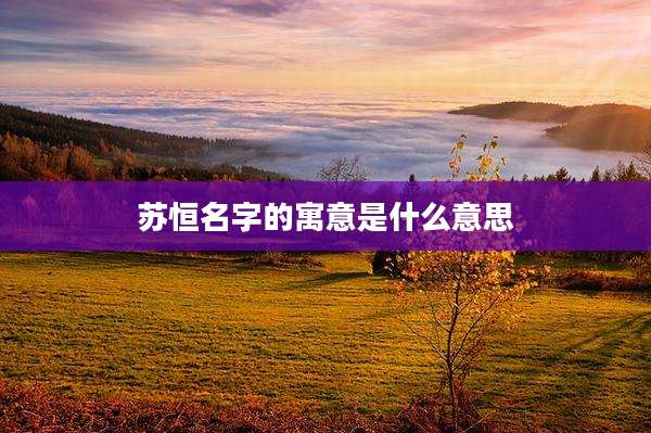 苏恒名字的寓意是什么意思