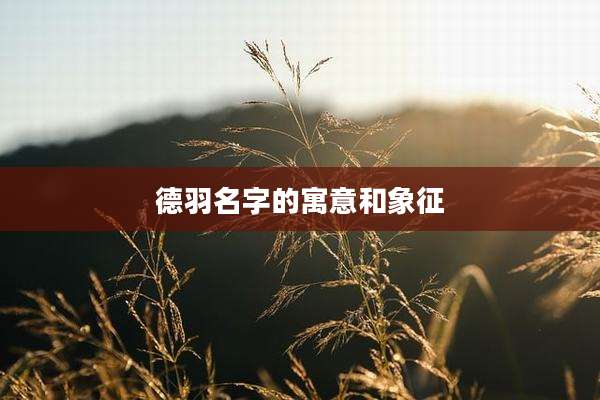 德羽名字的寓意和象征