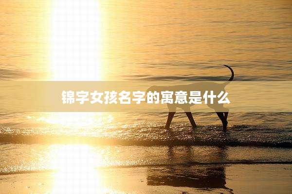 锦字女孩名字的寓意是什么
