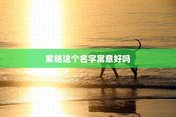 紫铭这个名字寓意好吗