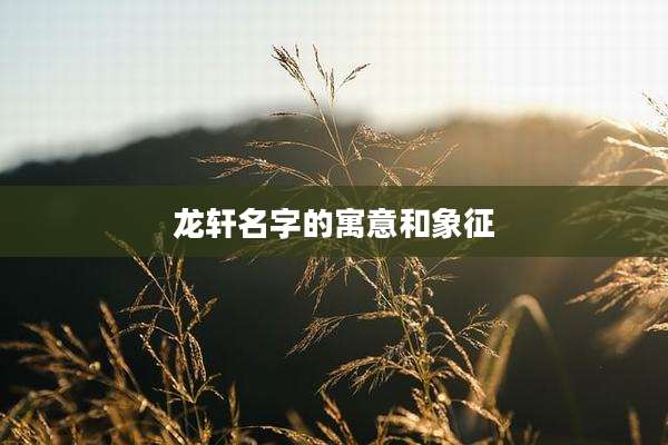 龙轩名字的寓意和象征