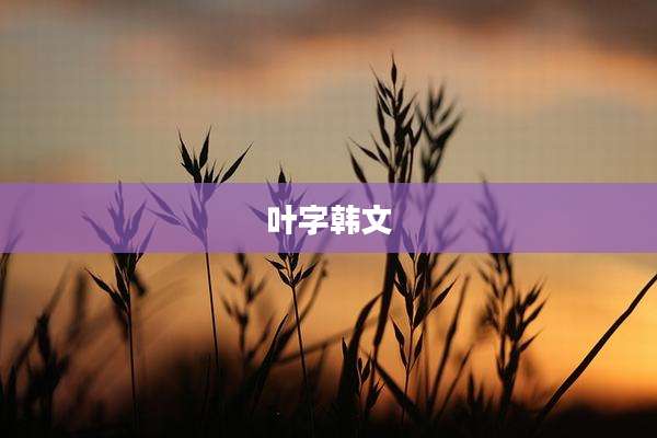 叶字韩文