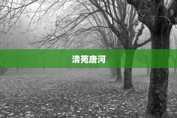 清苑唐河