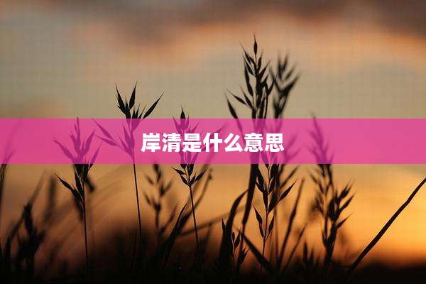 岸清是什么意思