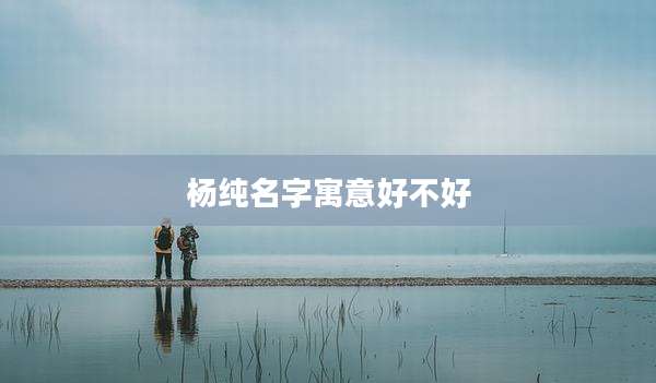 杨纯名字寓意好不好