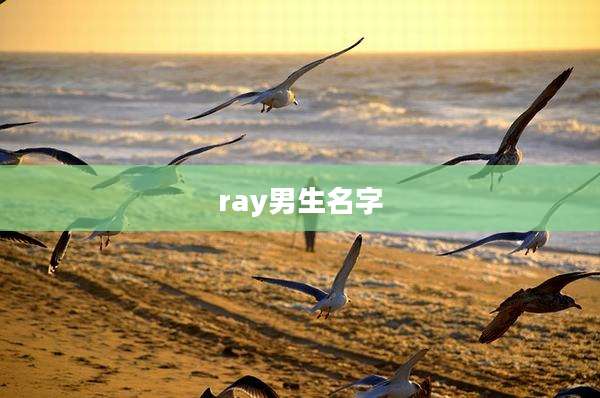 ray男生名字