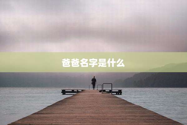 爸爸名字是什么