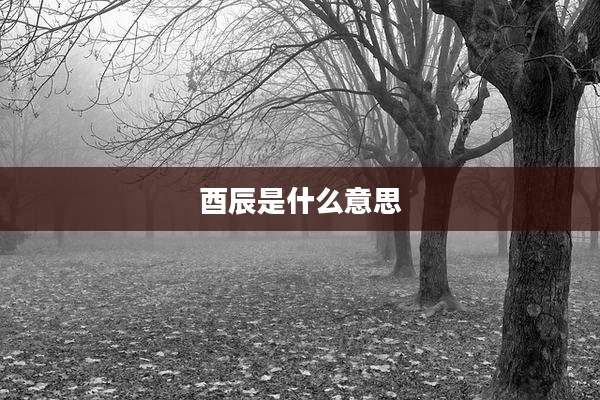 酉辰是什么意思