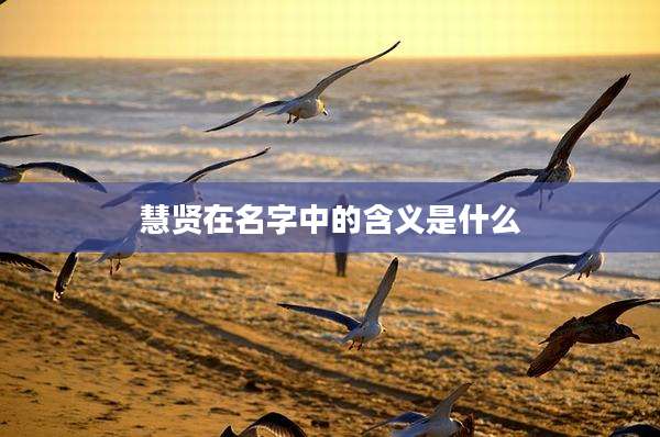 慧贤在名字中的含义是什么