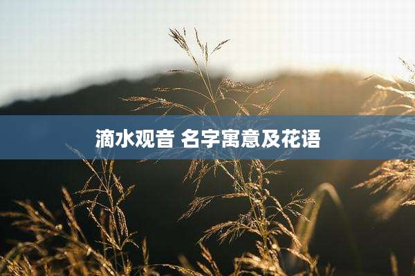 滴水观音 名字寓意及花语