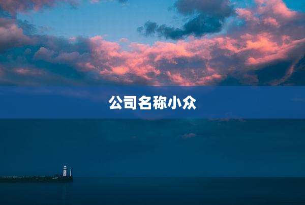 公司名称小众