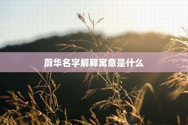 蔚华名字解释寓意是什么