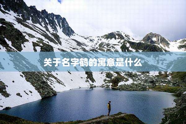 关于名字鹤的寓意是什么