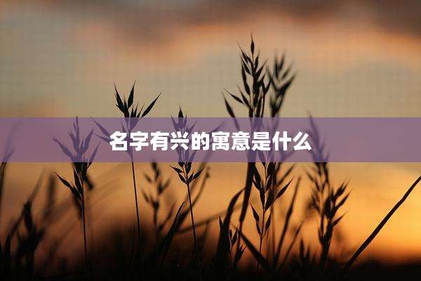 名字有兴的寓意是什么