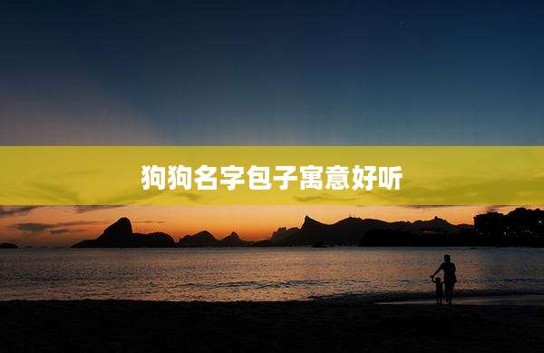 狗狗名字包子寓意好听