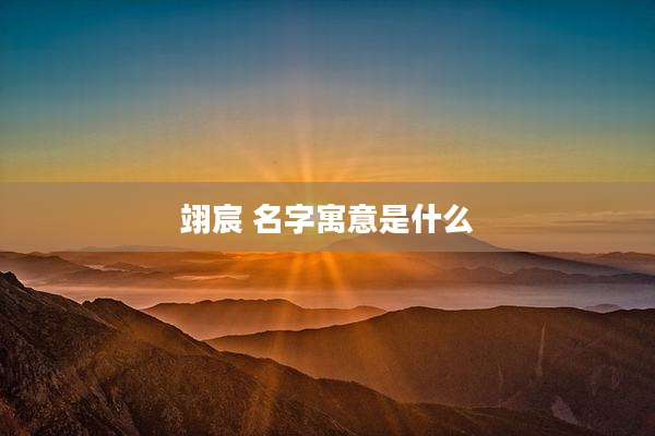 翊宸 名字寓意是什么