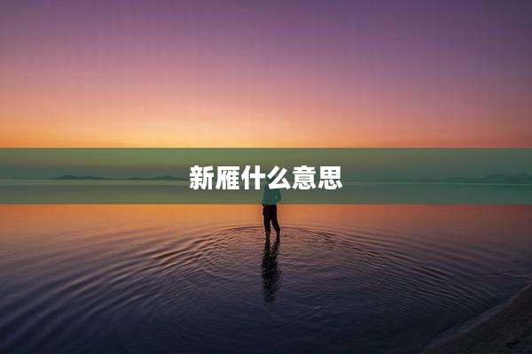 新雁什么意思