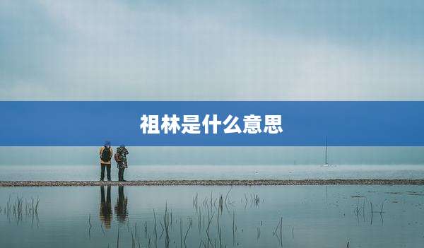 祖林是什么意思