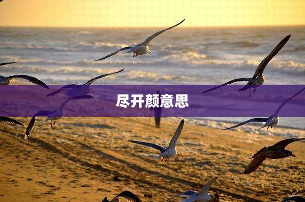 尽开颜意思