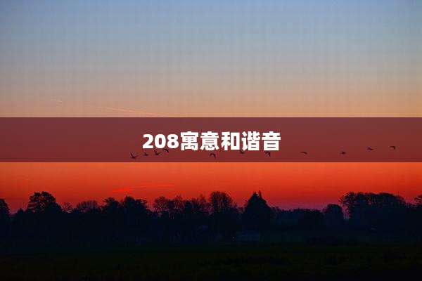 208寓意和谐音