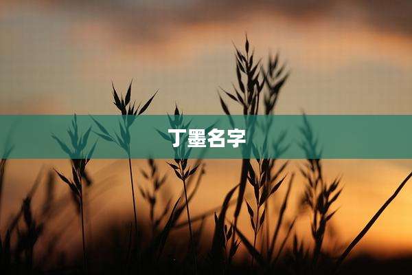 丁墨名字