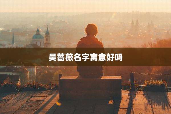 吴蔷薇名字寓意好吗