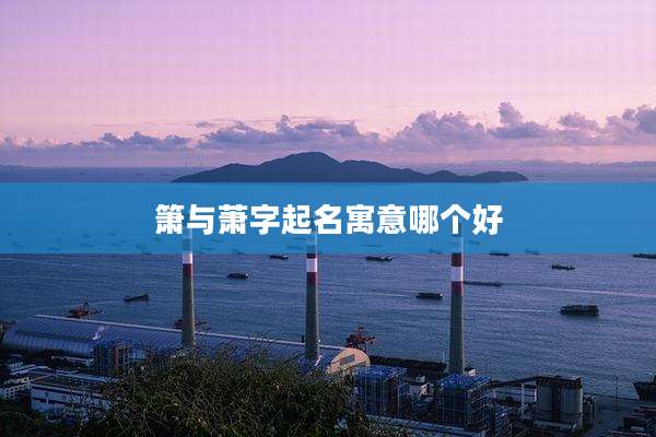箫与萧字起名寓意哪个好