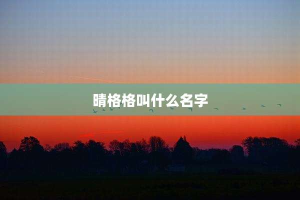 晴格格叫什么名字