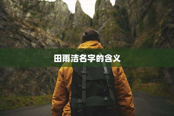 田雨洁名字的含义