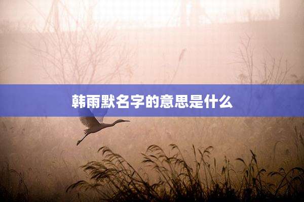 韩雨默名字的意思是什么