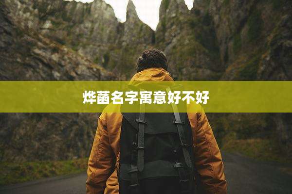 烨菡名字寓意好不好