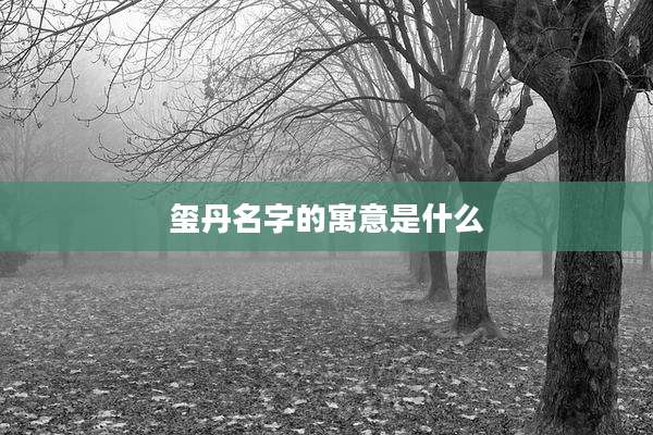 玺丹名字的寓意是什么