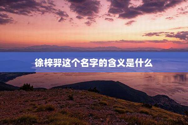 徐梓羿这个名字的含义是什么