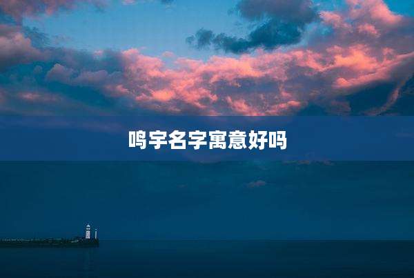 鸣宇名字寓意好吗