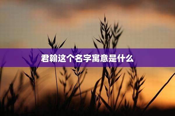 君翰这个名字寓意是什么