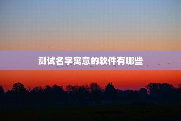 测试名字寓意的软件有哪些