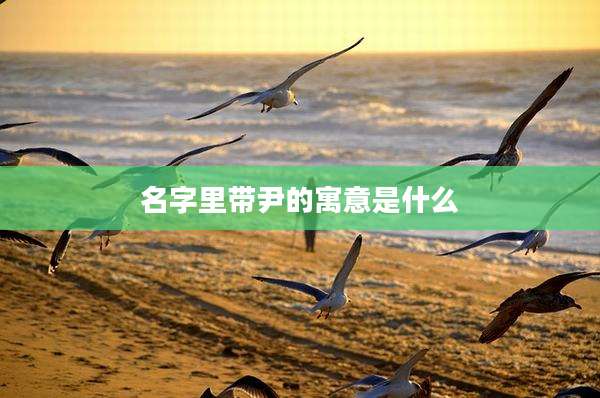 名字里带尹的寓意是什么