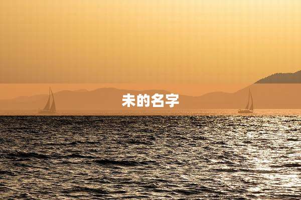 未的名字